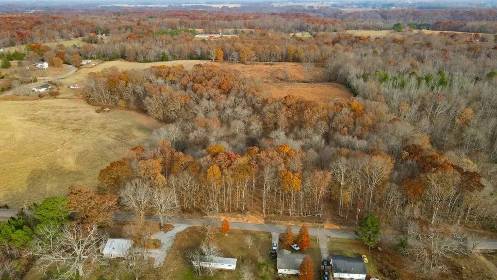 2 County Road 496 Lexington AL 35648