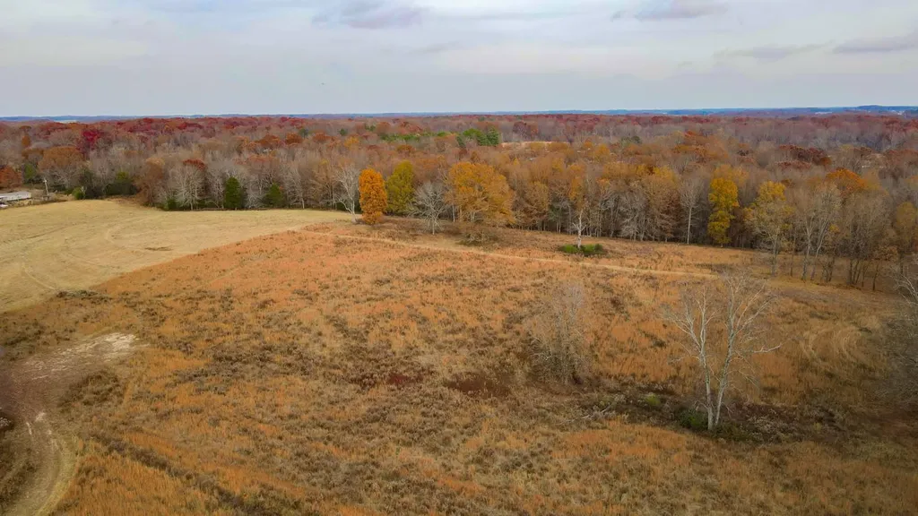 2 County Road 496 Lexington AL 35648