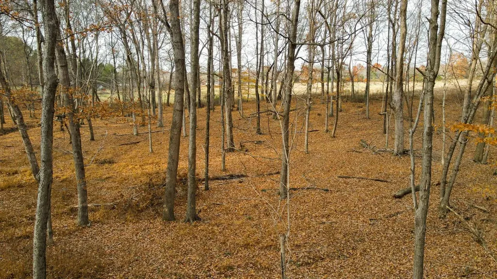 2 County Road 496 Lexington AL 35648