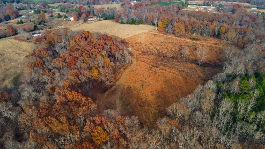 2 County Road 496 Lexington AL 35648