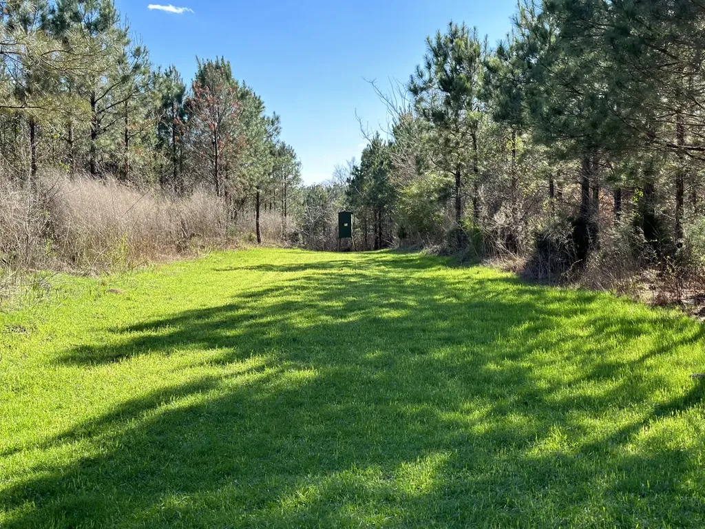 0 Co Road 96 Millport AL 35576