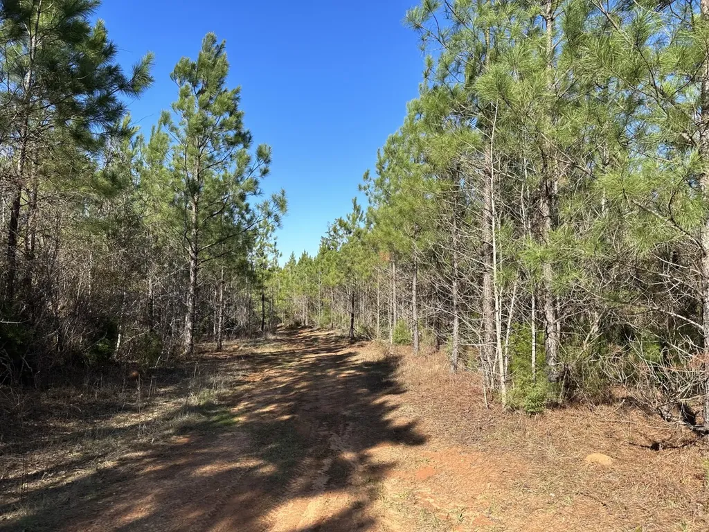 0 Co Road 96 Millport AL 35576