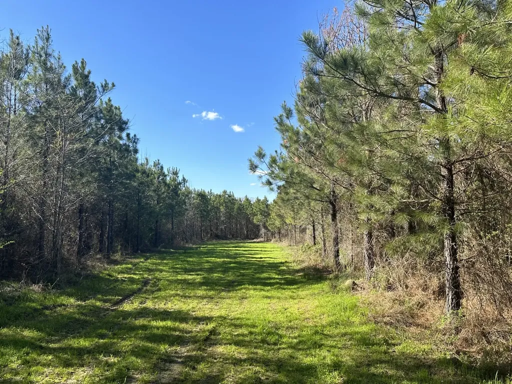 0 Co Road 96 Millport AL 35576