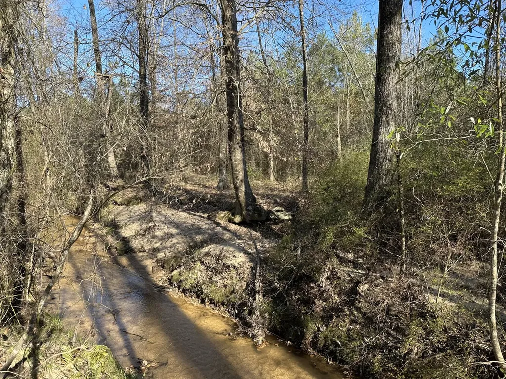 0 Co Road 96 Millport AL 35576