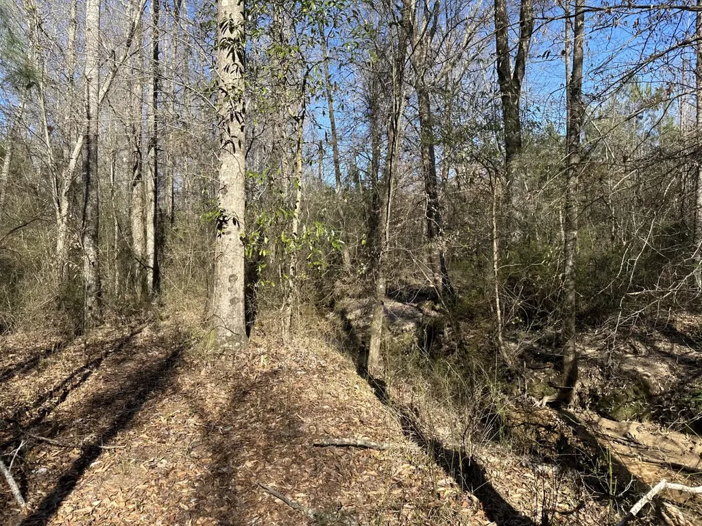 0 Co Road 96 Millport AL 35576