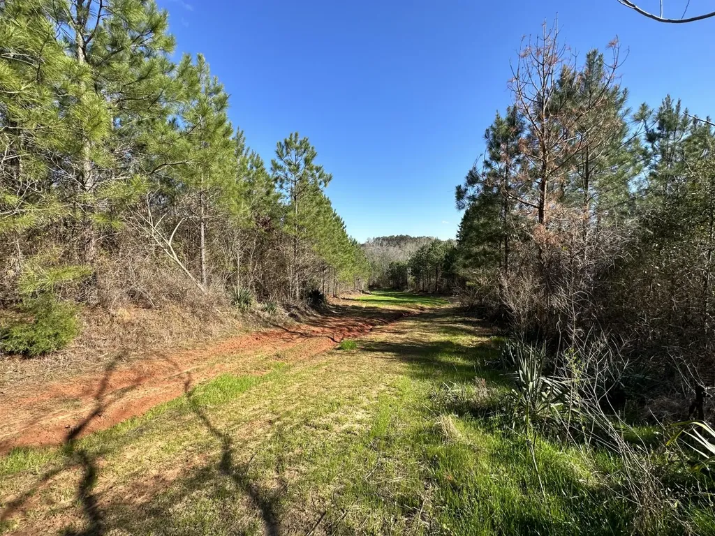 0 Co Road 96 Millport AL 35576