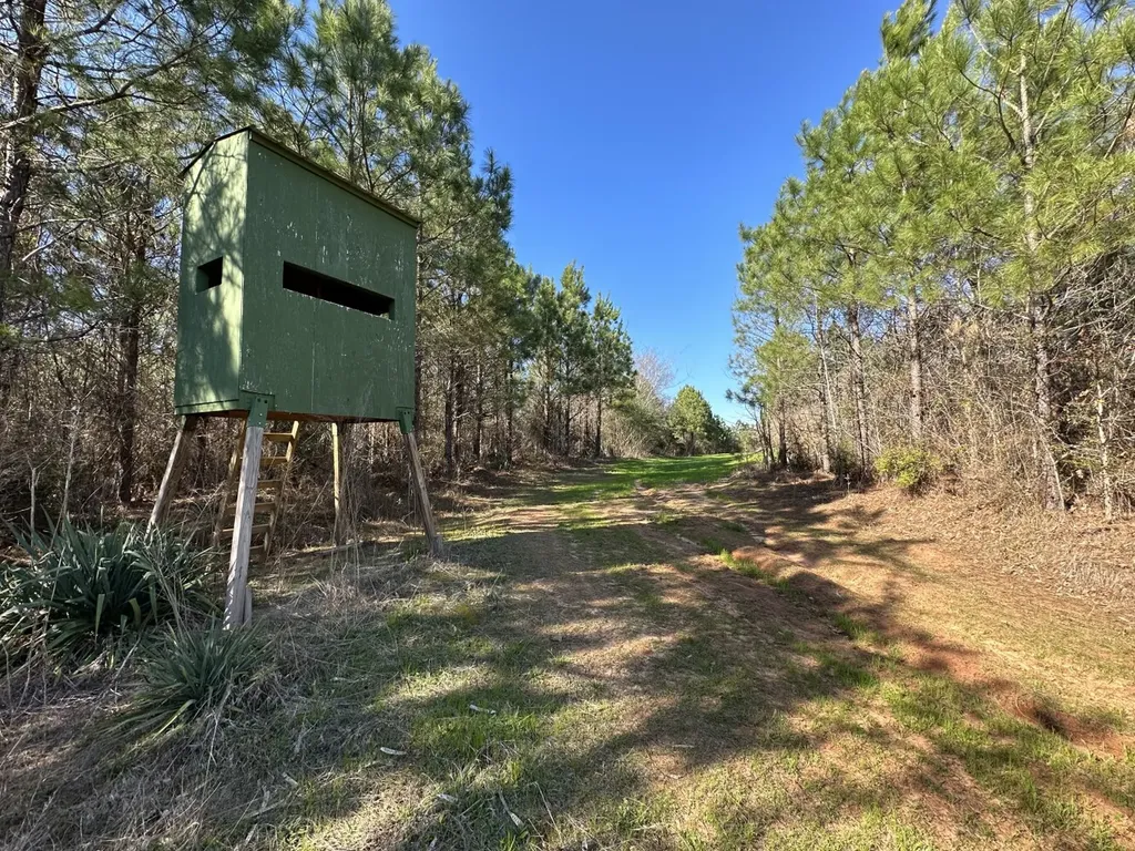 0 Co Road 96 Millport AL 35576