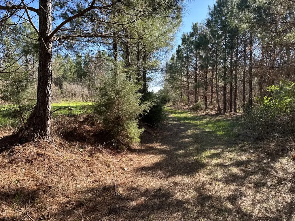 0 Co Road 96 Millport AL 35576