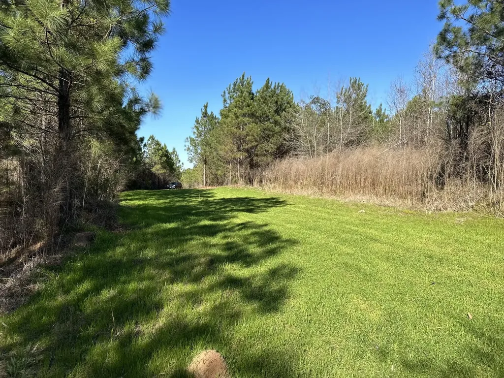 0 Co Road 96 Millport AL 35576