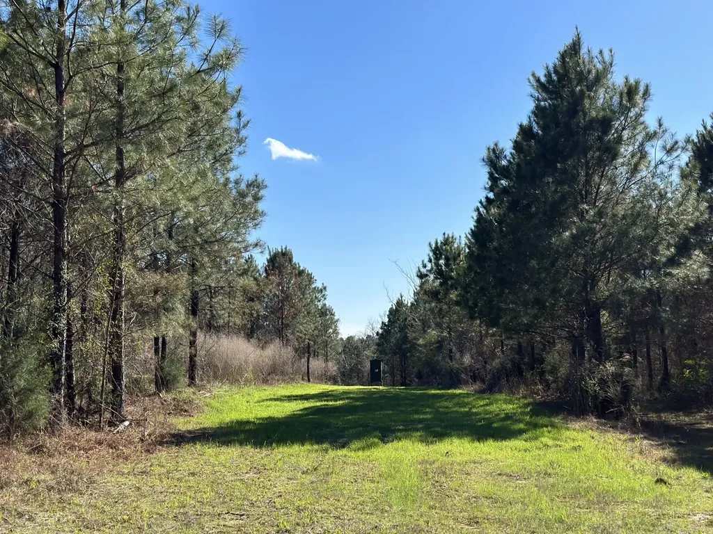 0 Co Road 96 Millport AL 35576