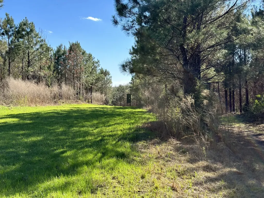 0 Co Road 96 Millport AL 35576