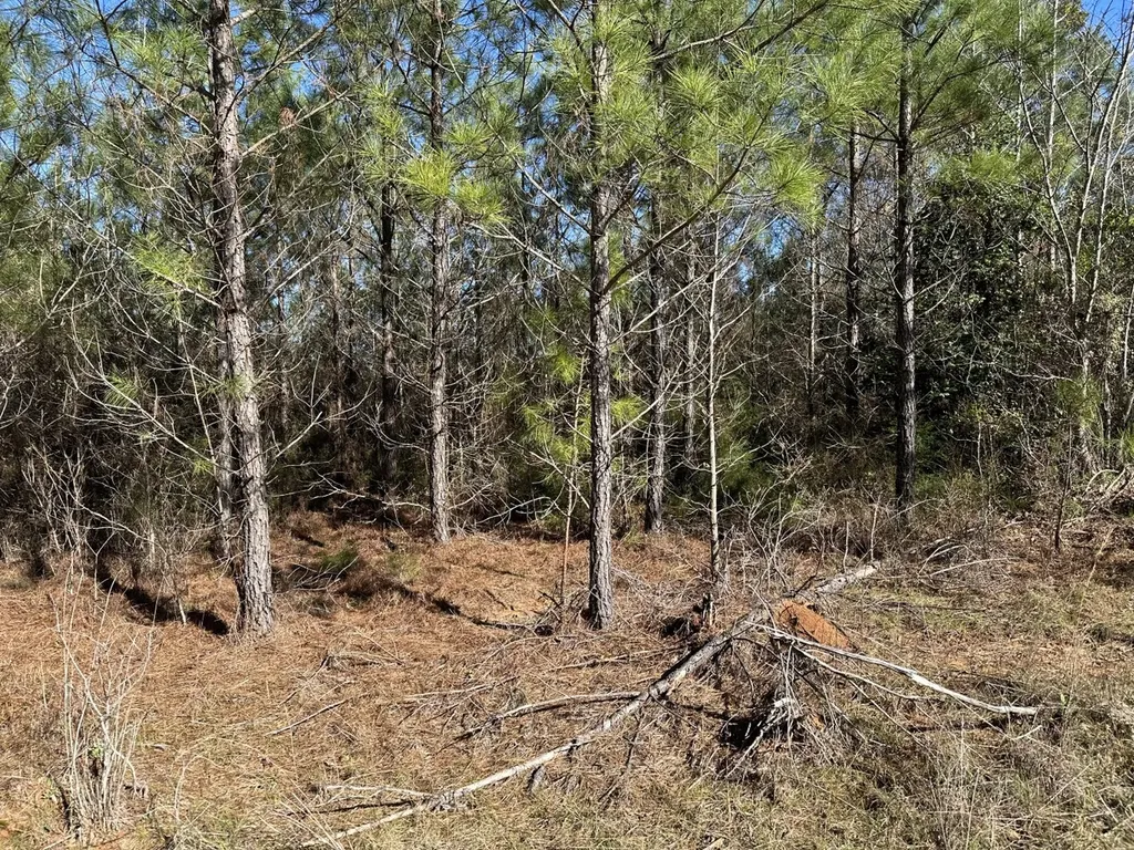 0 Co Road 96 Millport AL 35576