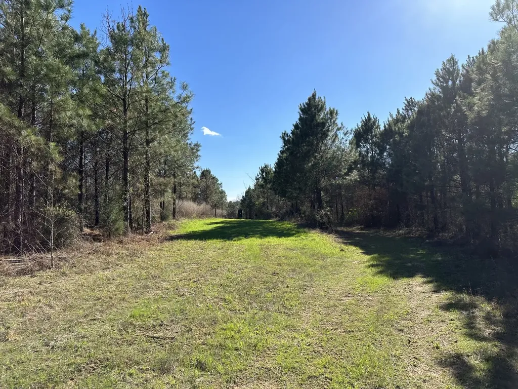 0 Co Road 96 Millport AL 35576