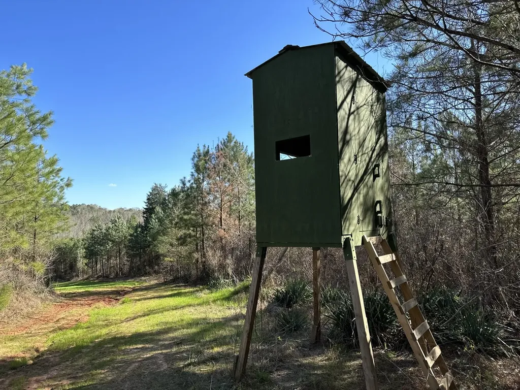 0 Co Road 96 Millport AL 35576