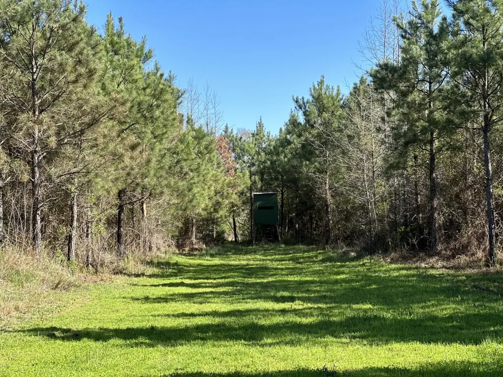 0 Co Road 96 Millport AL 35576