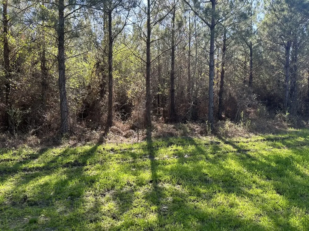 0 Co Road 96 Millport AL 35576