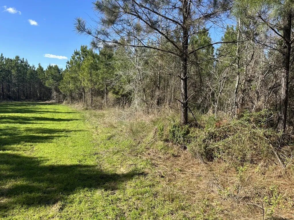 0 Co Road 96 Millport AL 35576