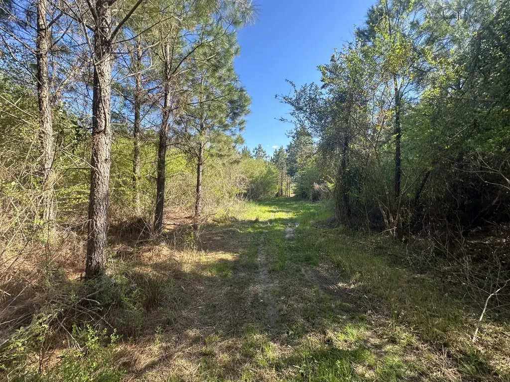 0 Co Road 96 Millport AL 35576