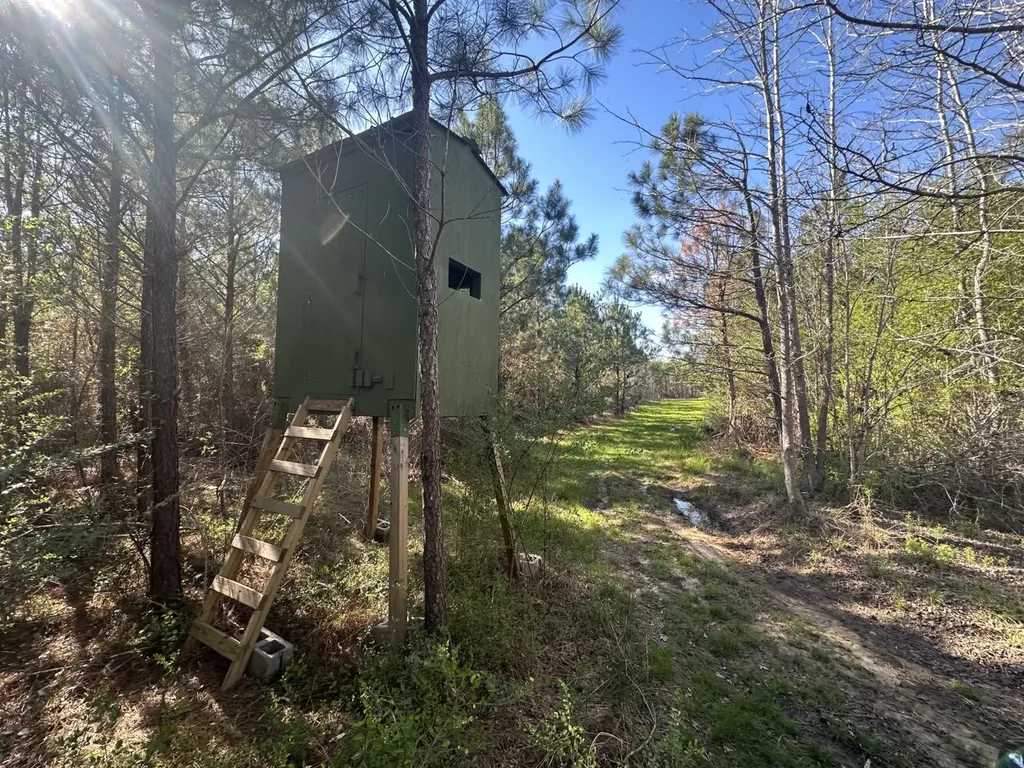 0 Co Road 96 Millport AL 35576