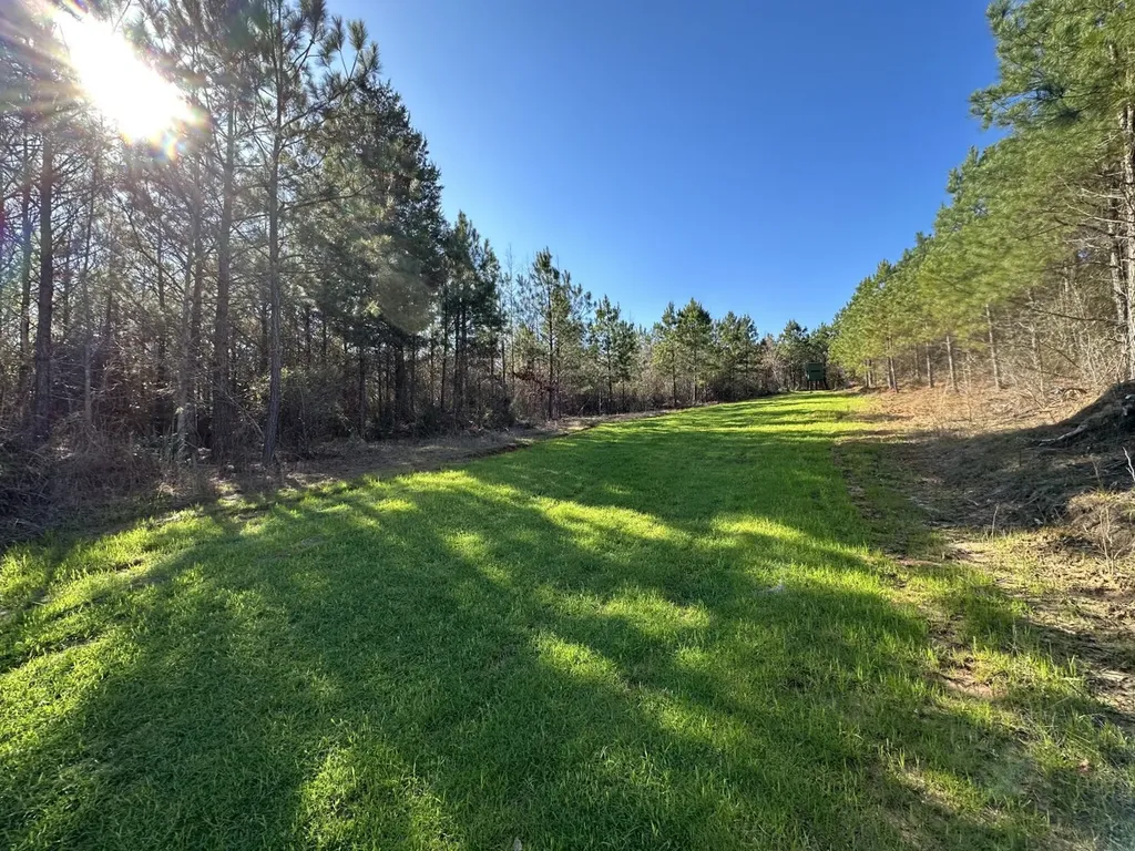 0 Co Road 96 Millport AL 35576