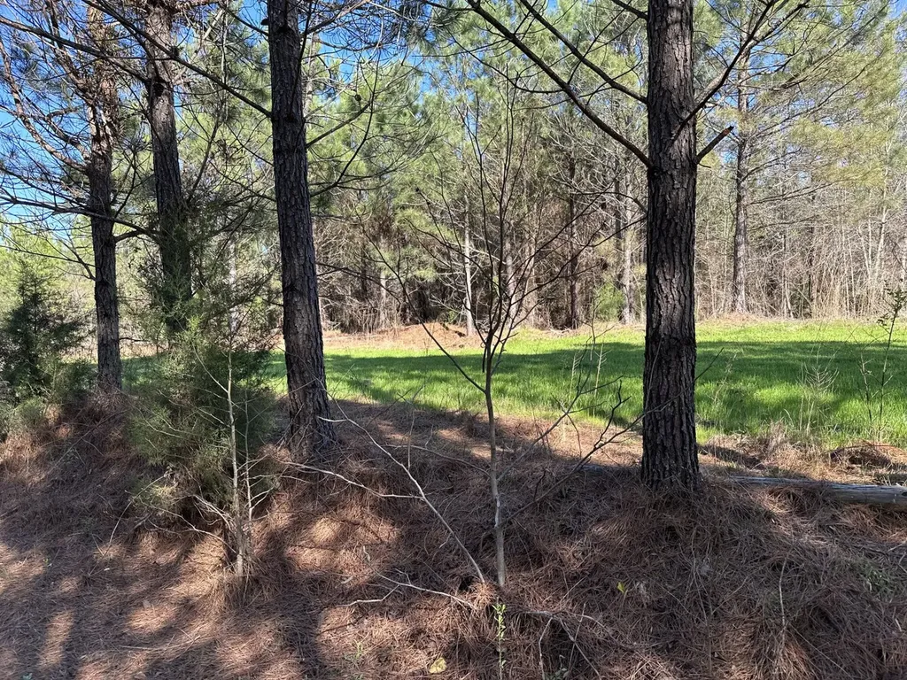 0 Co Road 96 Millport AL 35576