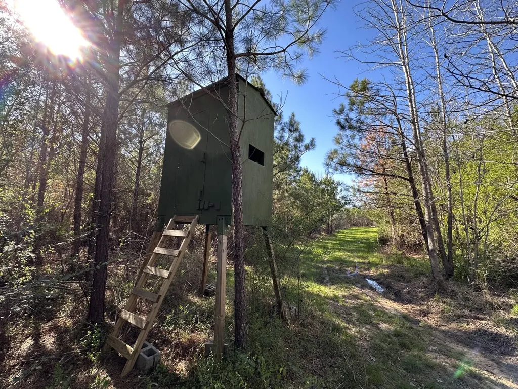 0 Co Road 96 Millport AL 35576