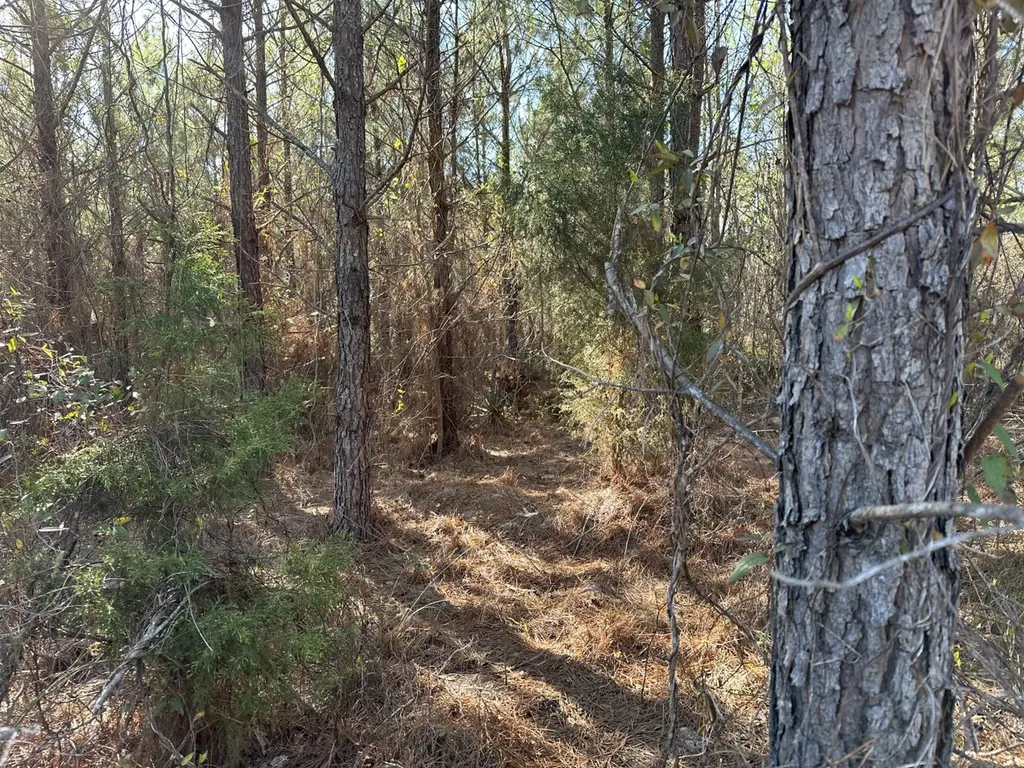 0 Co Road 96 Millport AL 35576