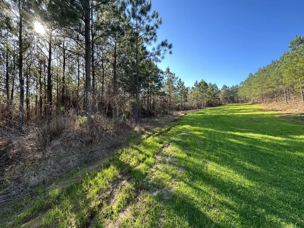 0 Co Road 96 Millport AL 35576