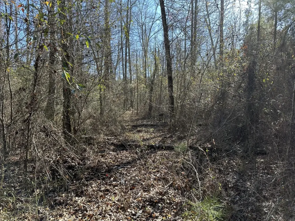 0 Co Road 96 Millport AL 35576