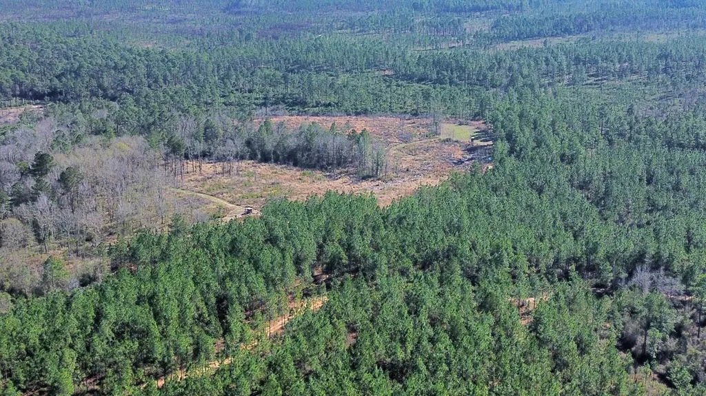 0 Jack Springs Road Perdido AL 36562