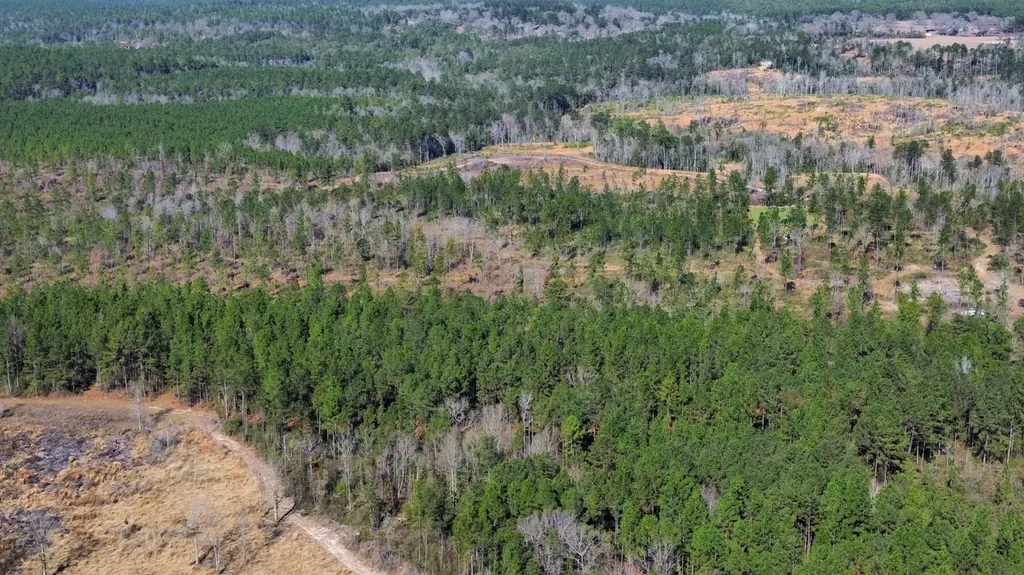 0 Jack Springs Road Perdido AL 36562