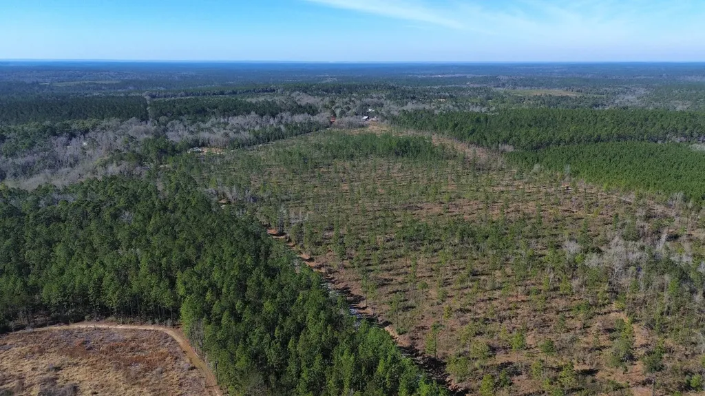 0 Jack Springs Road Perdido AL 36562