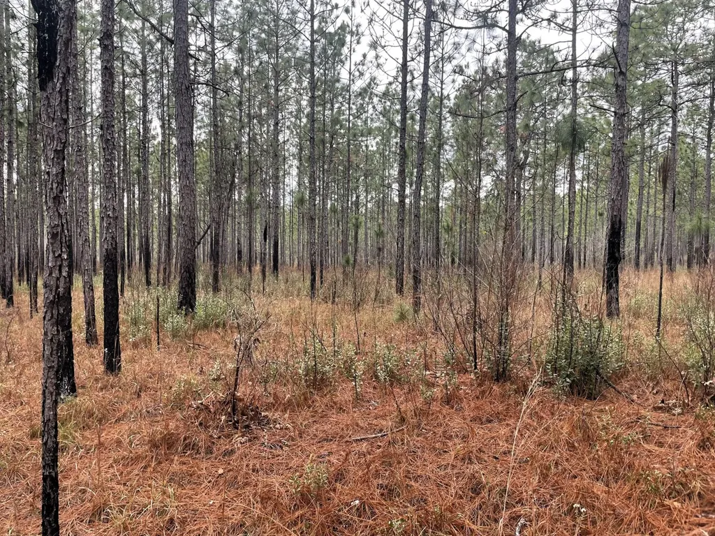 0 Jack Springs Road Perdido AL 36562