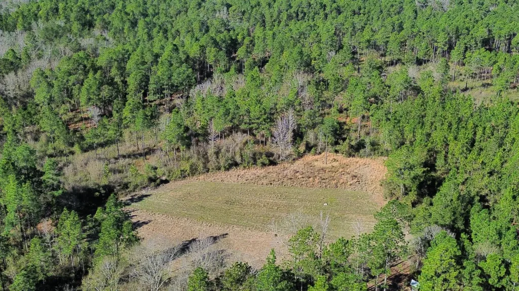 0 Jack Springs Road Perdido AL 36562