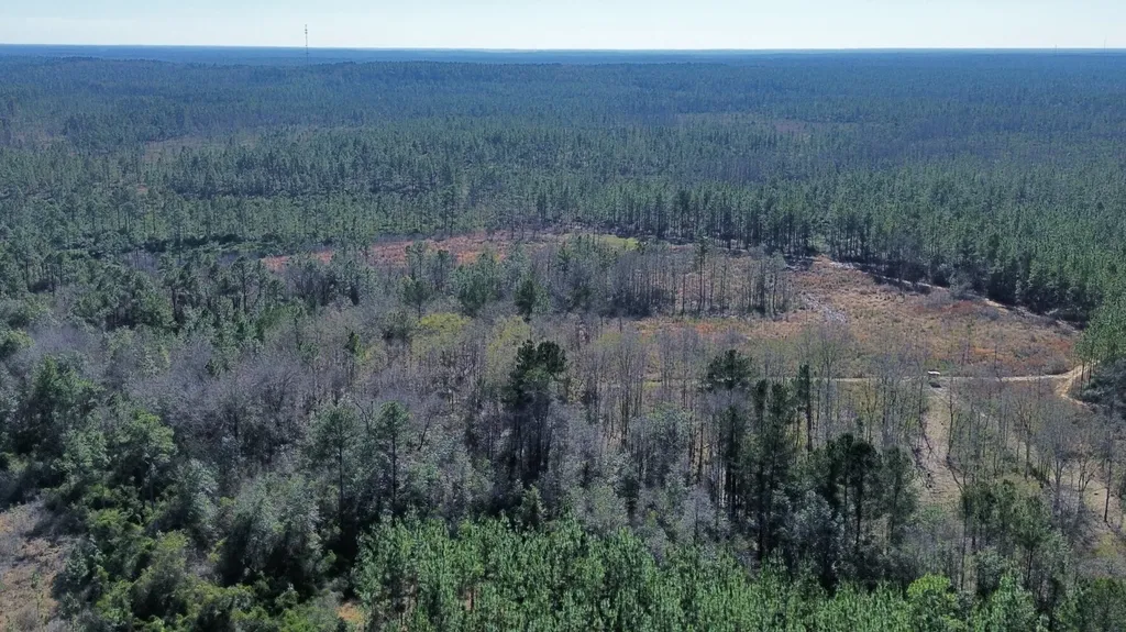 0 Jack Springs Road Perdido AL 36562