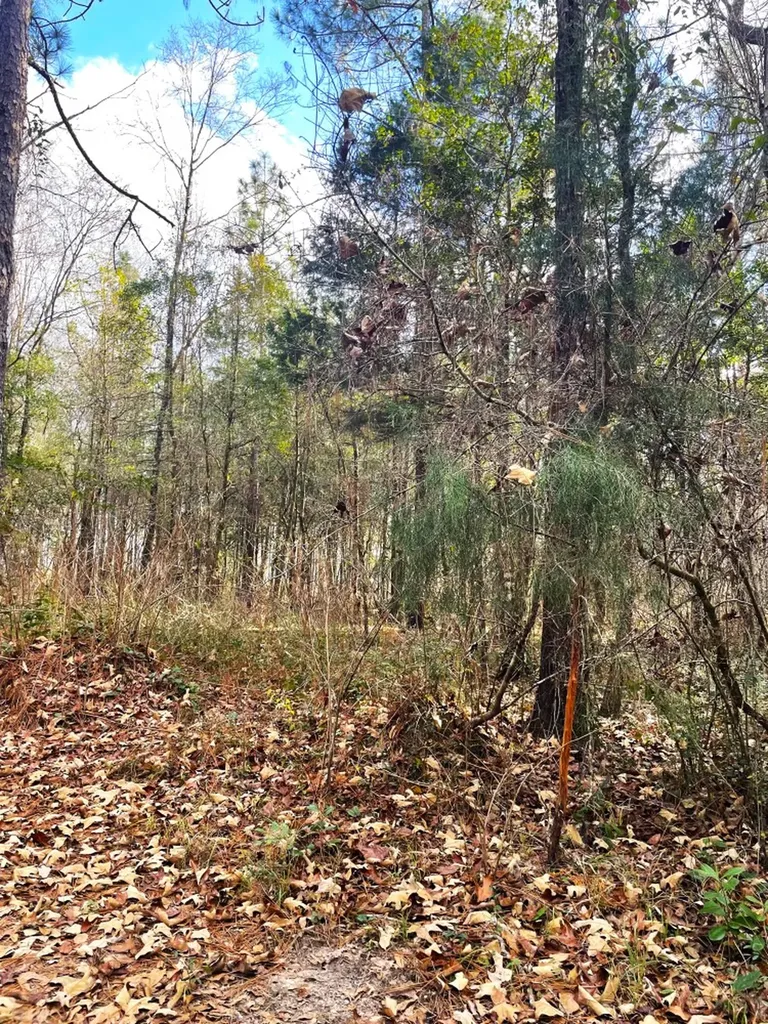 0 Jack Springs Road Perdido AL 36562
