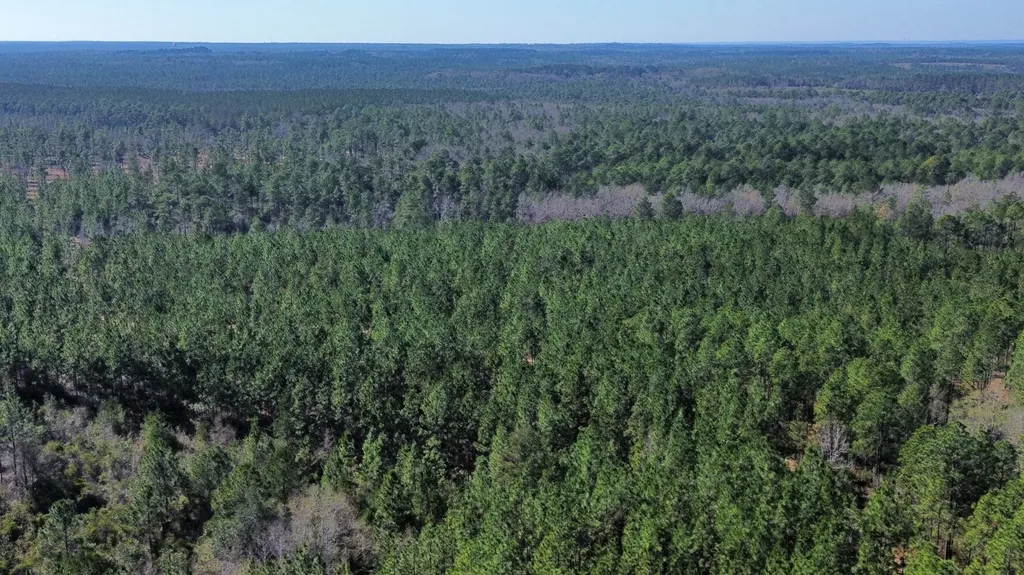 0 Jack Springs Road Perdido AL 36562