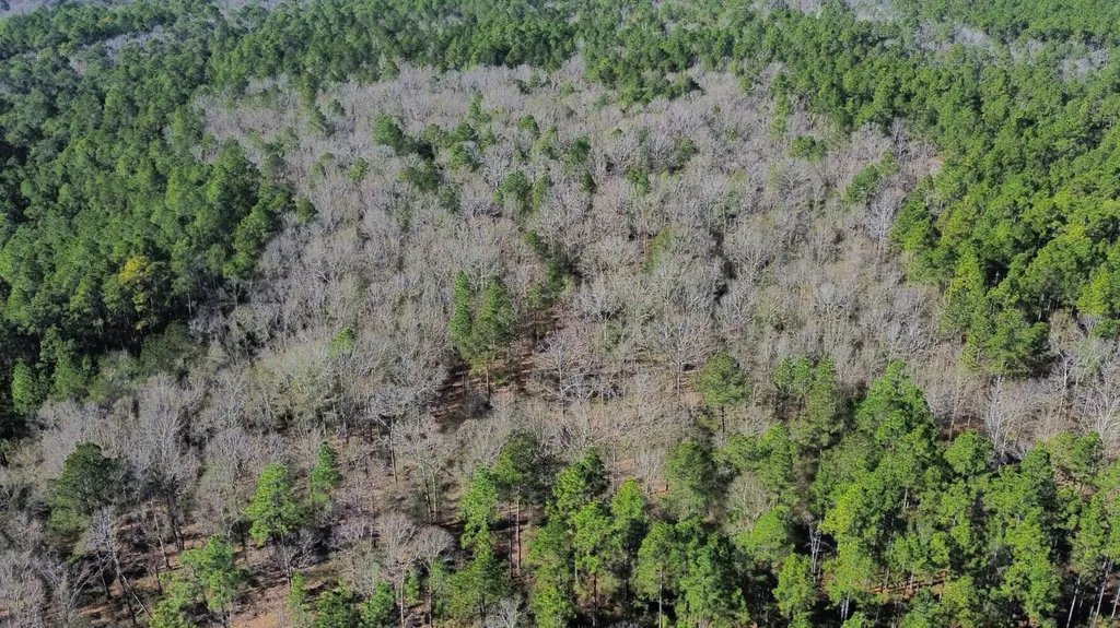 0 Jack Springs Road Perdido AL 36562