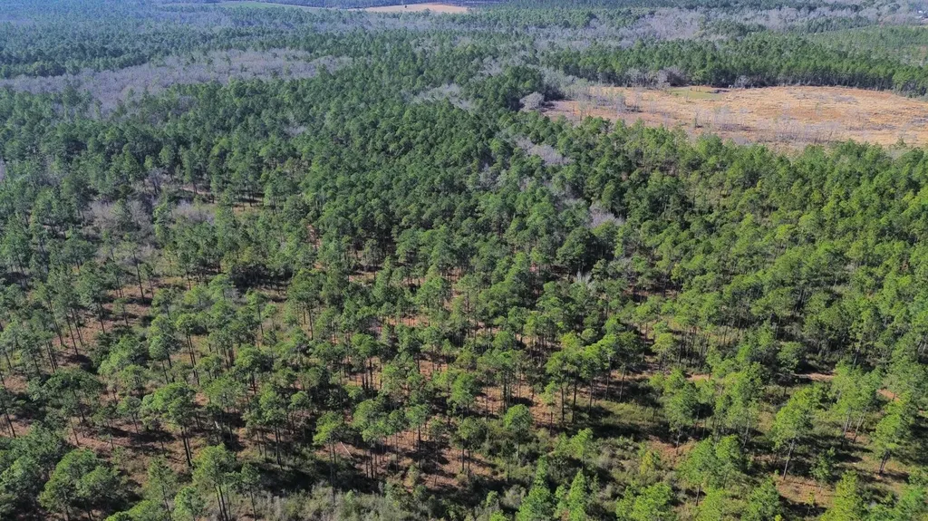 0 Jack Springs Road Perdido AL 36562
