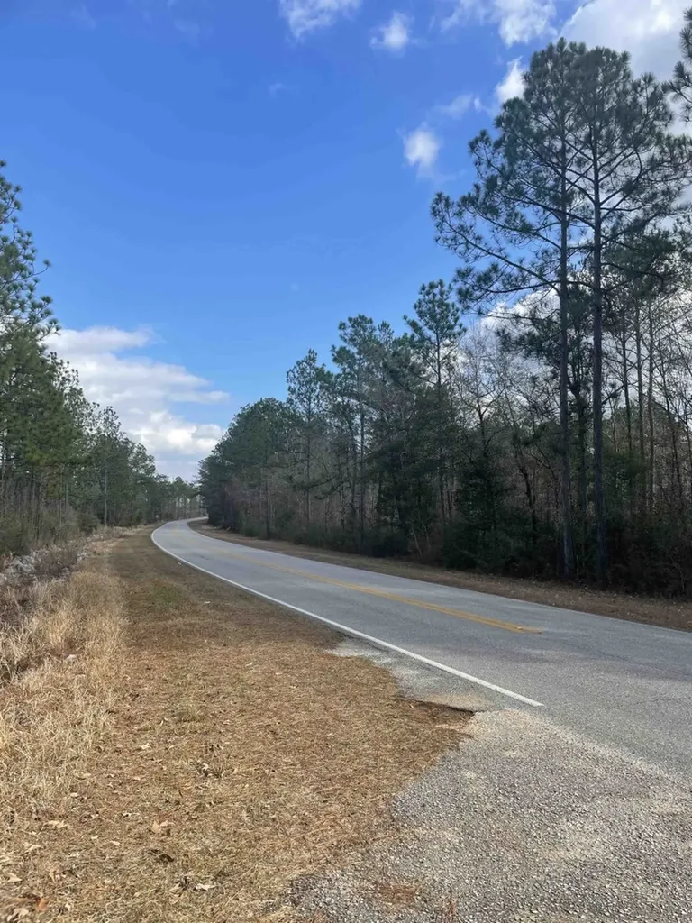 0 George Thomley Road Perdido AL 36562