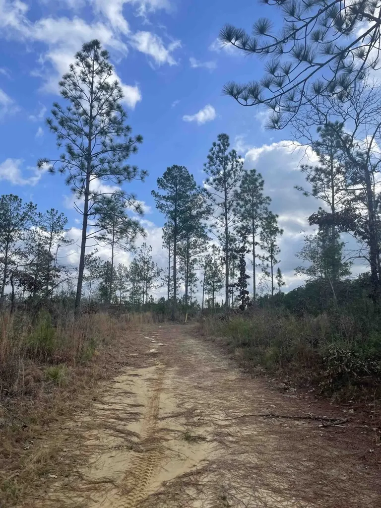 0 George Thomley Road Perdido AL 36562
