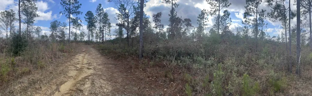 0 George Thomley Road Perdido AL 36562