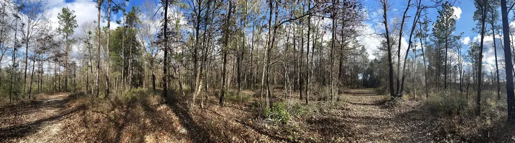 0 Jack Springs Road Perdido AL 36562