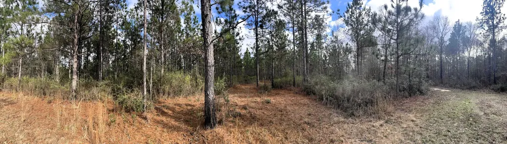 0 Jack Springs Road Perdido AL 36562