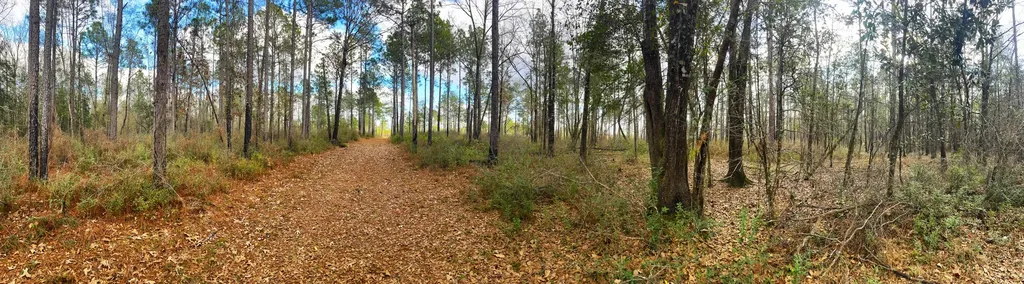 0 Jack Springs Road Perdido AL 36562