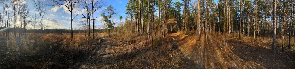 0 Jack Springs Road Perdido AL 36562