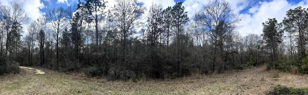 0 Jack Springs Road Perdido AL 36562