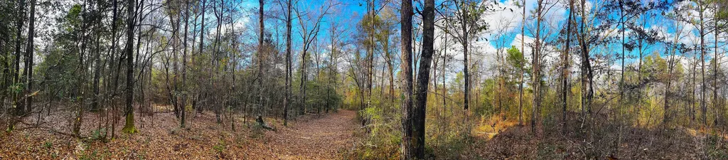 0 Jack Springs Road Perdido AL 36562