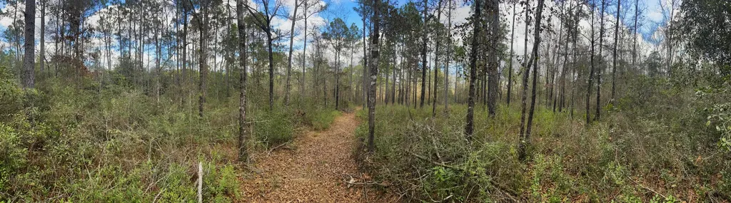 0 Jack Springs Road Perdido AL 36562
