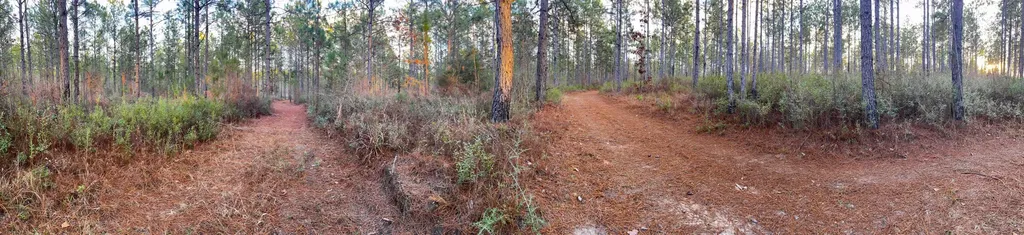 0 Jack Springs Road Perdido AL 36562